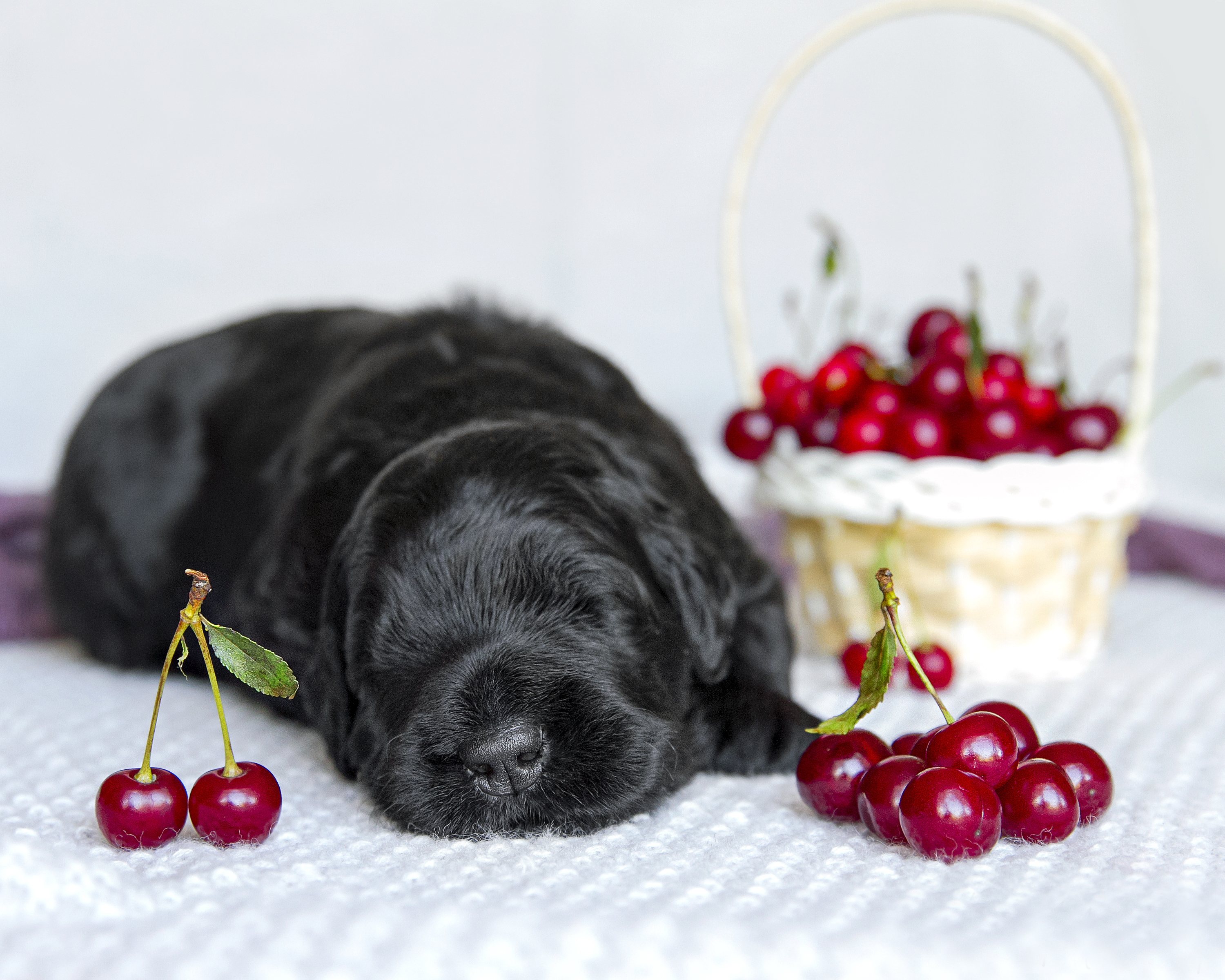 Slideshow sample 5
